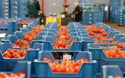 وزير الزراعة : الأردن مستعد لتزويد