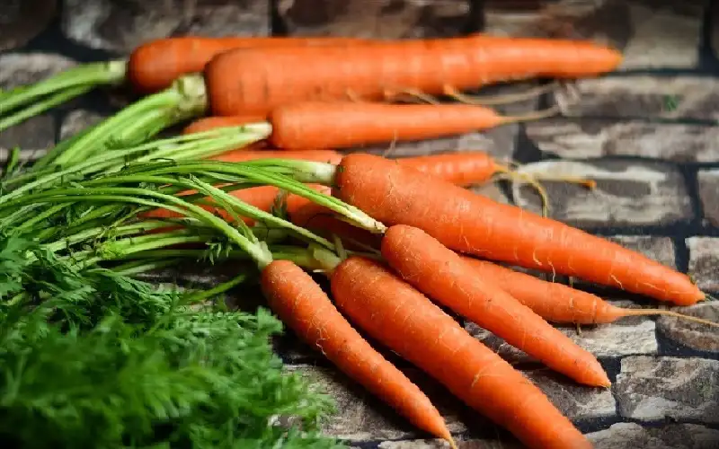 هل يعتبر الجزر علاجا مكملا للسكري؟