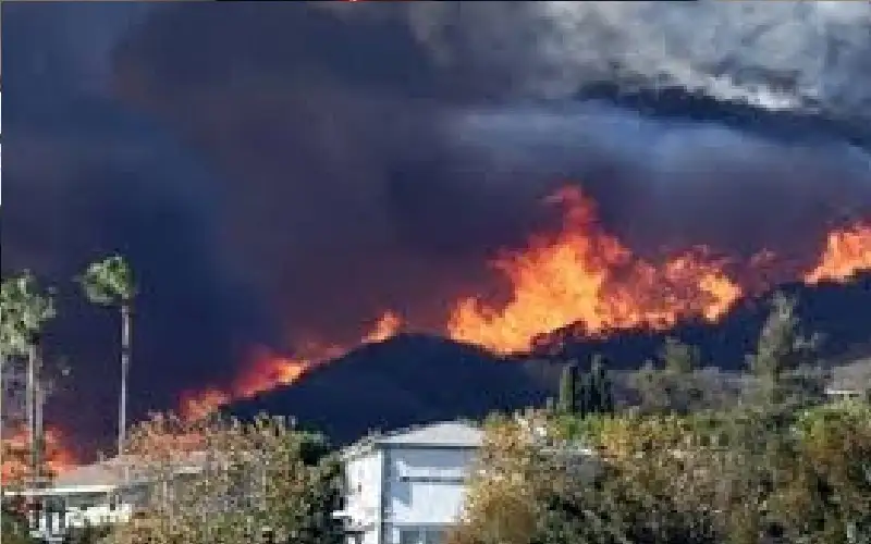 بلومبيرغ تشير إلى سبب غير متوقع