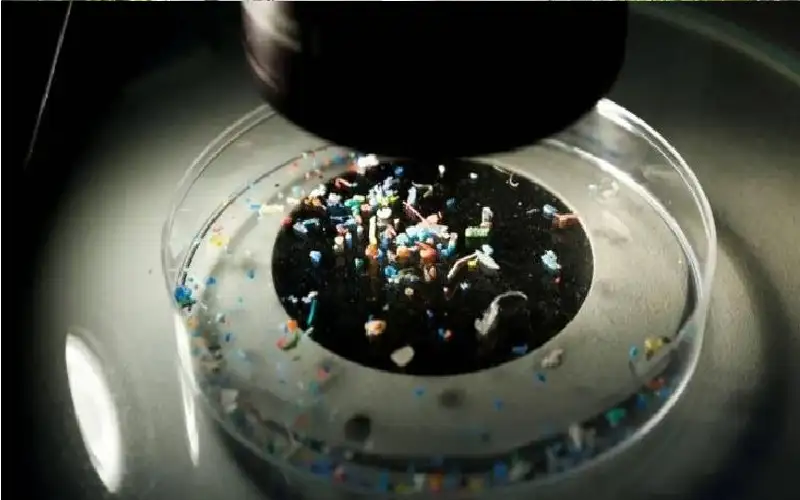 اكتشاف سبب محتمل للسرطانات التي لا