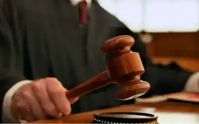 الحبس 8 سنوات لسيدة طعنت شخصا