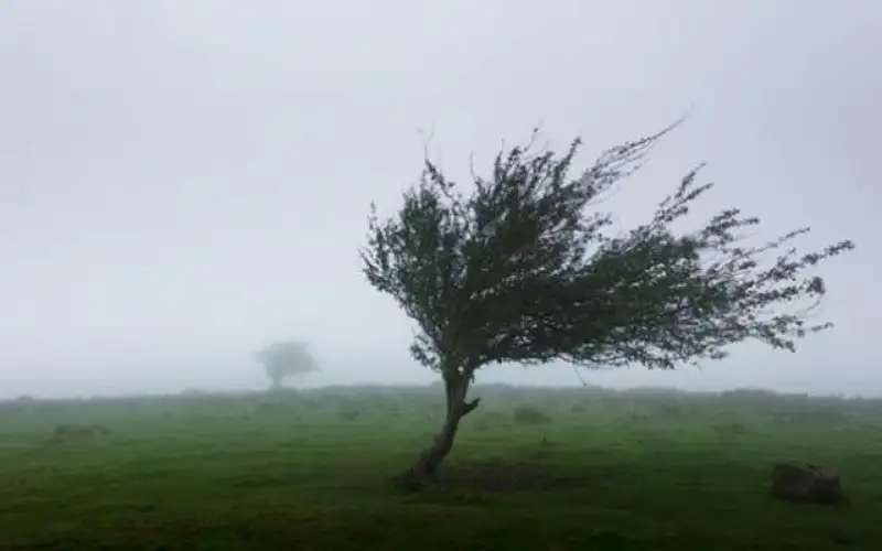 الأردن يتأثر بالمرتفع السيبيري ورياح نشطة