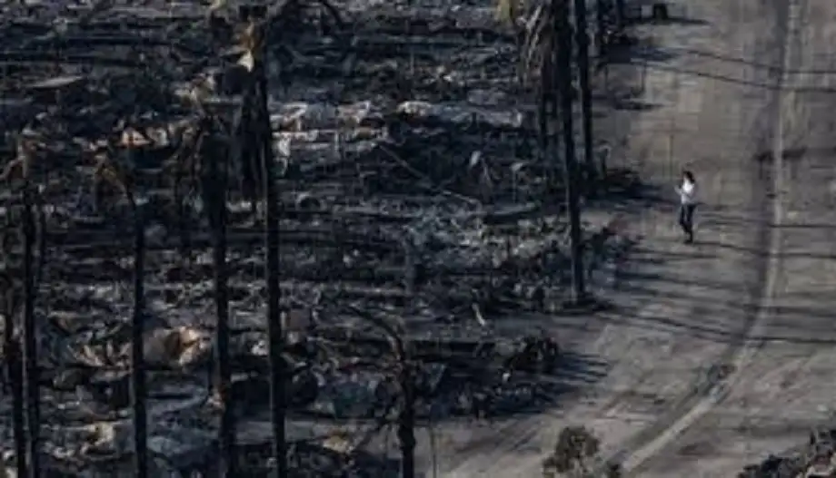 ترامب: “الموت في كل مكان”