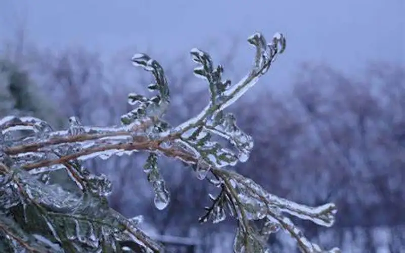 الأرصاد الجوية: أجواء باردة نسبيا مع