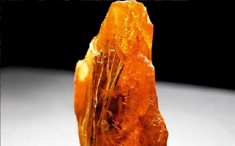 روسيا.. اكتشاف كهرمان نادر عمره 50