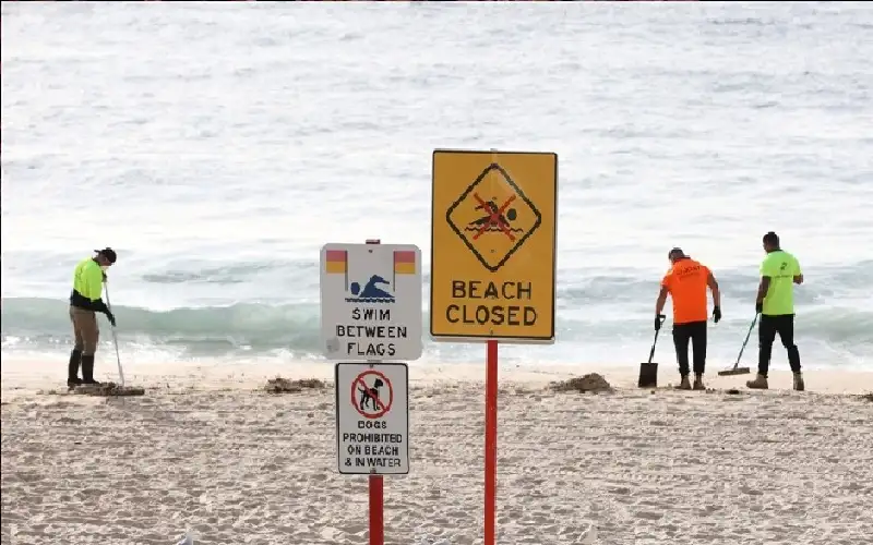 إغلاق شواطئ في سيدني بعد ظهور