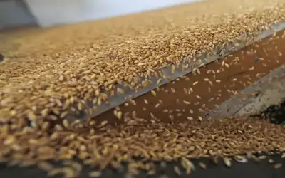 عطاء حكومي لشراء 100 إلى 120