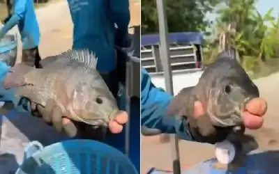 هذا ما يراه الرجال في حقن
