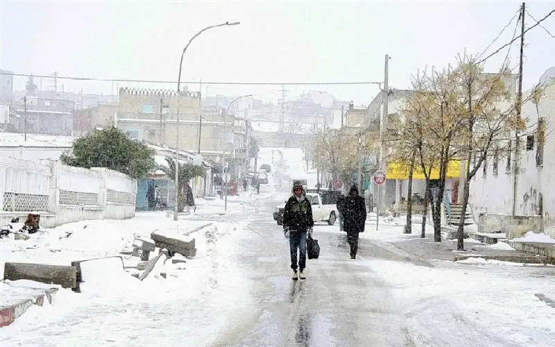 تونس.. تعليق الدراسة بسبب الأمطار والثلوج