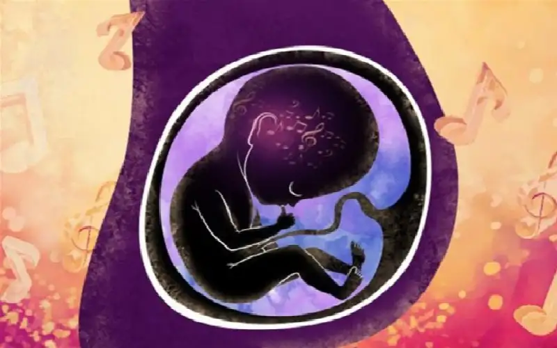 دراسة تكشف آثار الزيادة الكبيرة للوزن