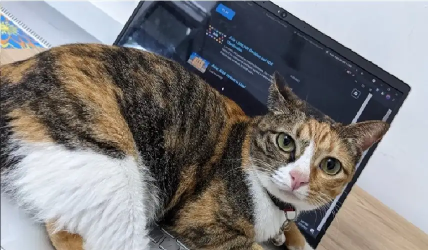 امرأة تخسر وظيفتها ومكافأتها السنوية.. بسبب