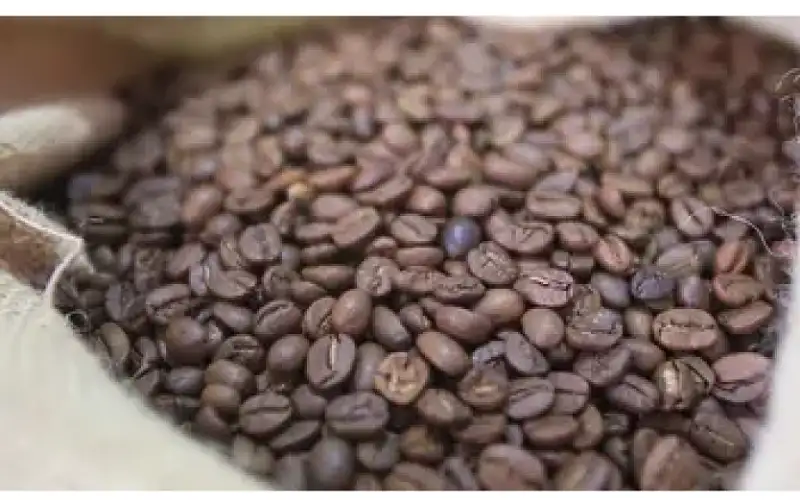 أسعار القهوة في العالم تتجه إلى
