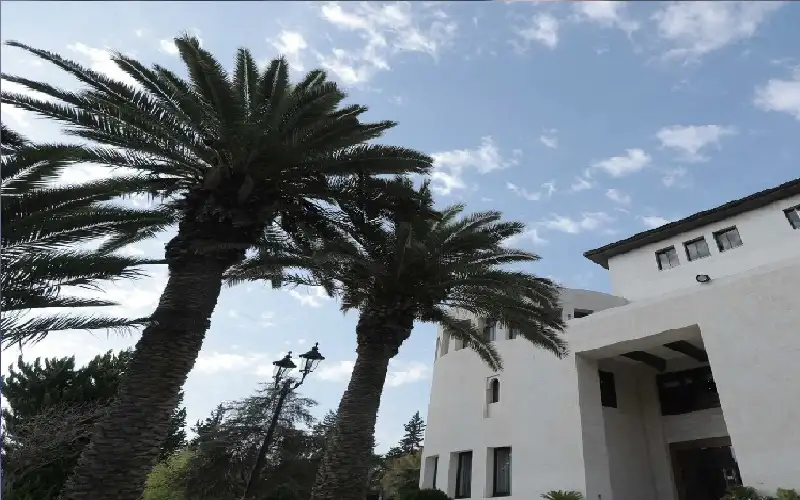 مجلس الوزراء يوافق على نظام تشكيلات