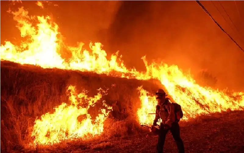 حرائق غابات تجبر 50 ألف شخص