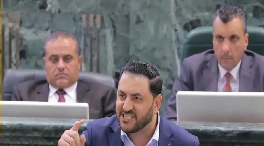 ماذا يقصد الصفدي من وصف حركة