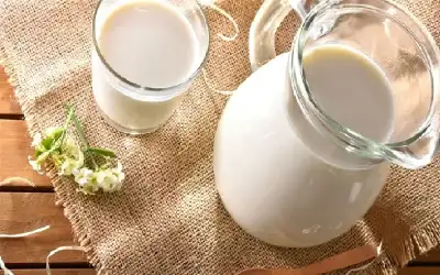 حليب النوق يدعم المناعة ولا يثير