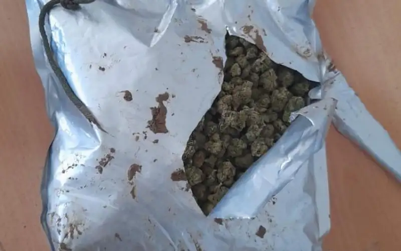 احباط محاولة تهريب مخدرات من واجهة