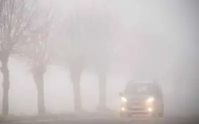 الأردن.. ضباب كثيف في مناطق متفرقة