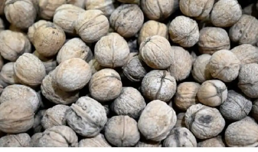 لمقاومة أعراض الشيخوخة .. تناول هذا