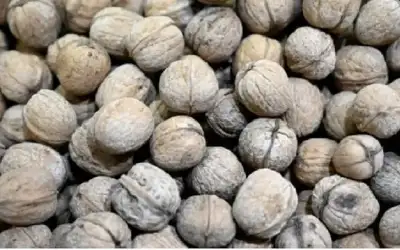 لمقاومة أعراض الشيخوخة .. تناول هذا
