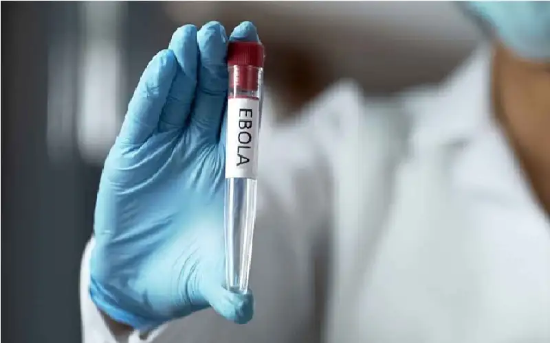 القتال في الكونغو قد يعرض العالم