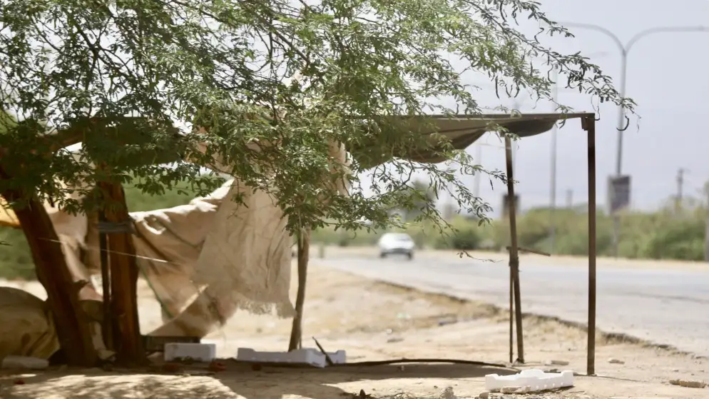 أجواء مشمسة ودرجات الحرارة أعلى من