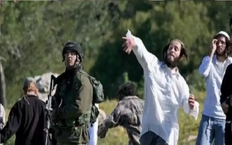 مستوطنون يهاجمون مركبات المواطنين شمال رام