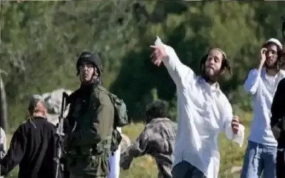 مستوطنون يهاجمون مركبات المواطنين شمال رام