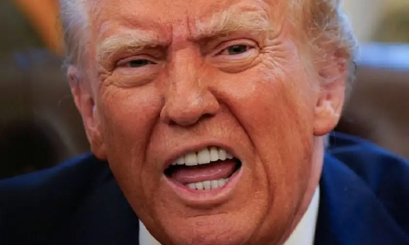 التهجير مجددا.. ترامب: على مصر والأردن