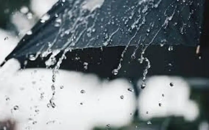 الأرصاد: هطولات مطرية في إربد والبلقاء