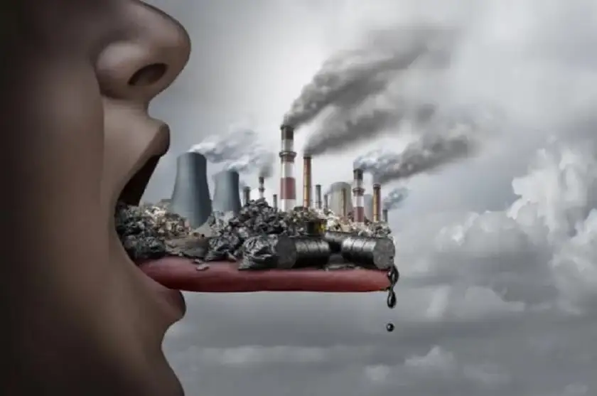 كيف يؤثر طعامك اليومي على مصير