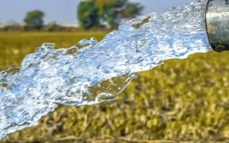 ضبط نحو 20 ألف اعتداء على