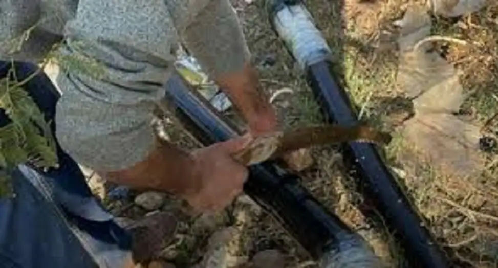 سلطة وادي الأردن تنفذ حملة واسعة