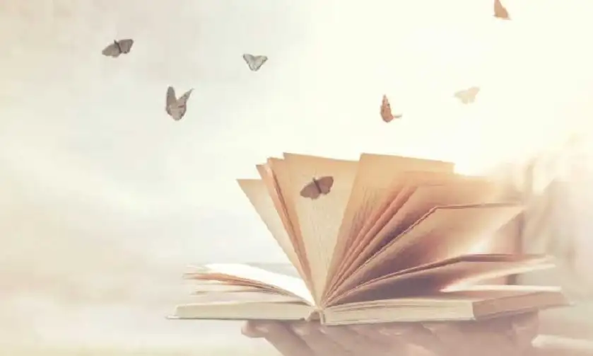 غرائبية الأشخاص والحكاية