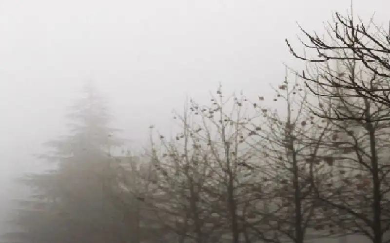 الأرصاد تحذر من تدني الرؤية وانعدامها