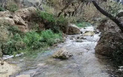 مطالب بإدراج راجب ضمن المدن السياحية