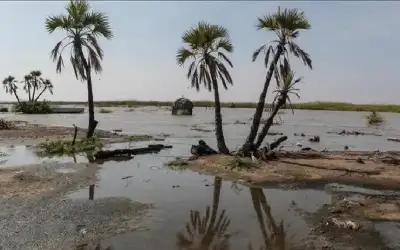 البنك الدولي يحذر: تأخر تمويلات المناخ