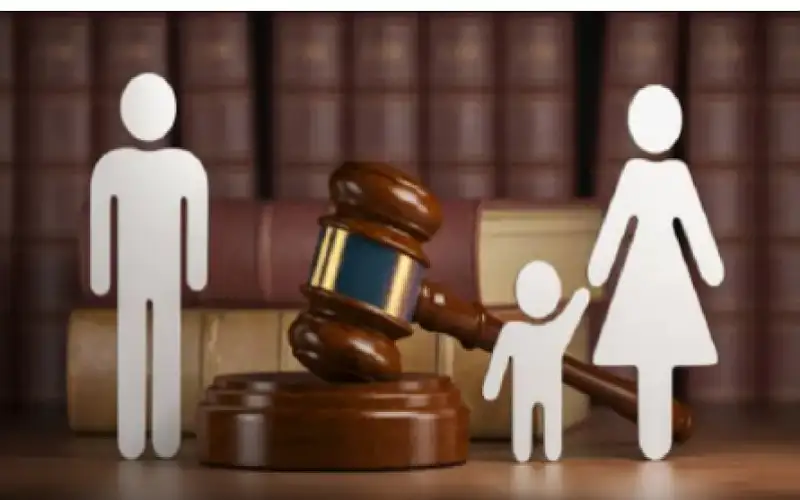 التنمية: إثبات نسب 18 من فاقدي