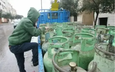 السماح بعدد محدود من العمالة الوافدة