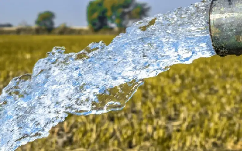 رئيس الوزراء: سنتخذ اليوم قرارا بتنظيم