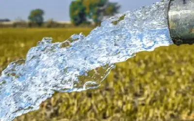 رئيس الوزراء: سنتخذ اليوم قرارا بتنظيم