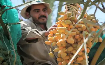 إعفاء العمالة الوافدة في القطاع الزراعي