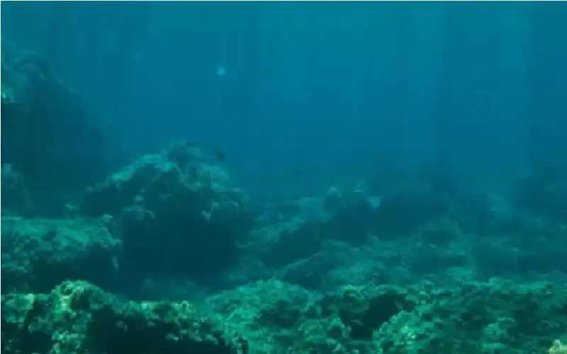 إشارة غامضة من 10 ملايين سنة