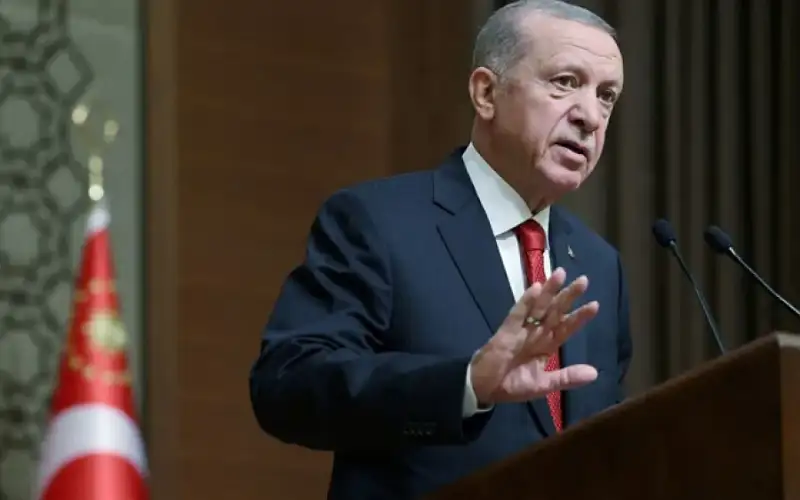 أردوغان: لا استقرار في المنطقة ما