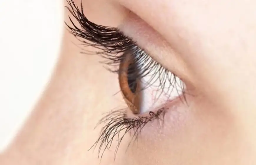 علامات تشير إلى انفصال الشبكية