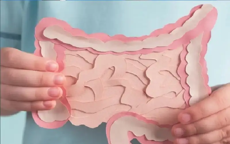 حساسية الغلوتين.. اضطرابات هضمية علاجها إدارة