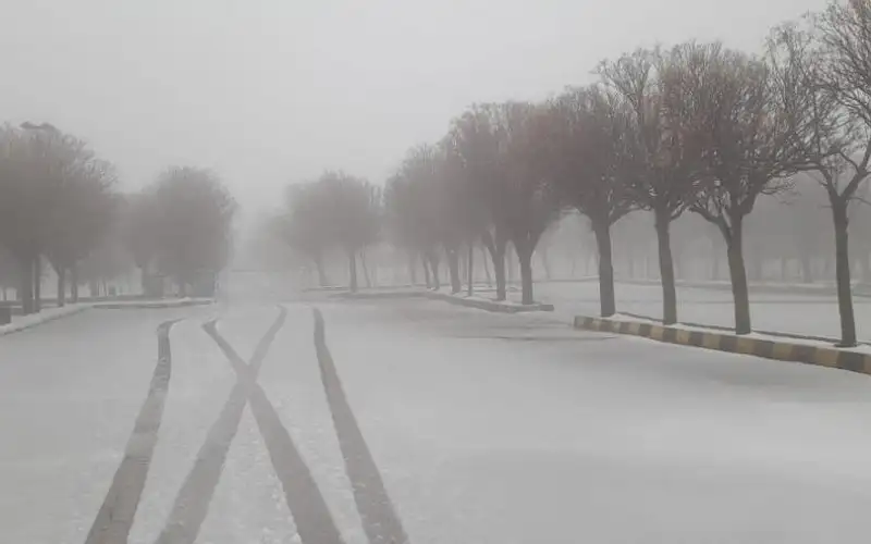 إطلاق اسم الجلمود على الموجة القطبية