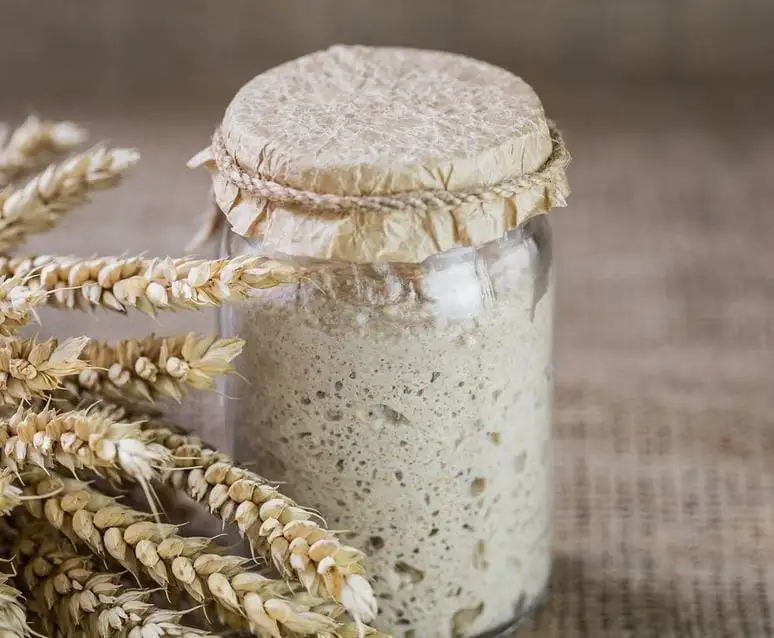 اكتشاف درع طبيعي ضد الالتهابات الرئوية