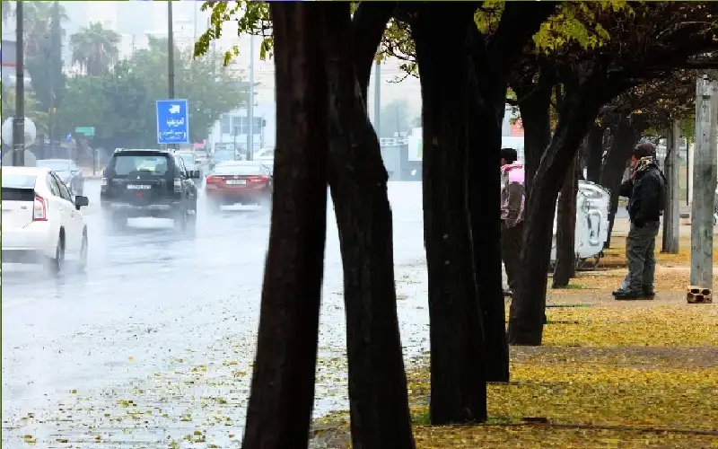 الأمانة تدعو لتأمين مواد البناء تجنبا