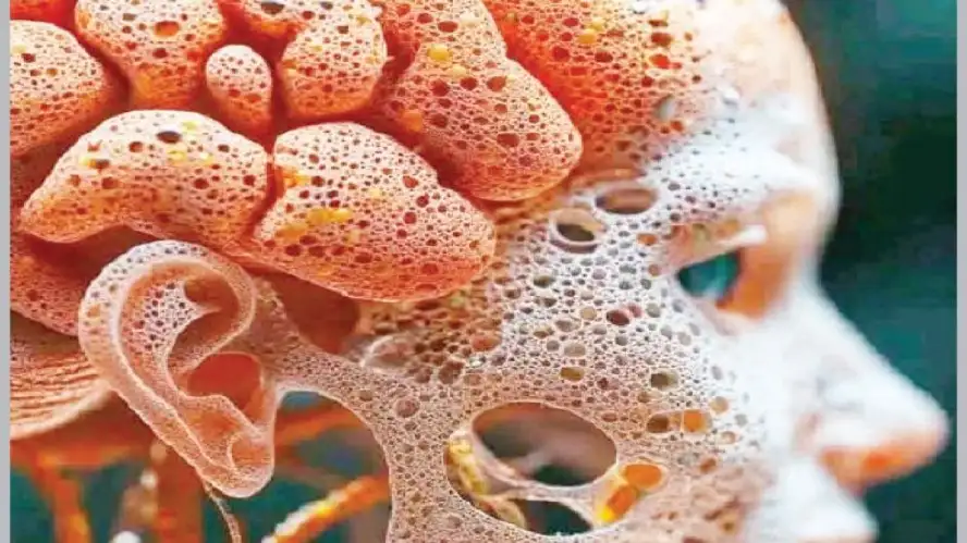 نقص الماء بالجسم يسبب تدهور العقل